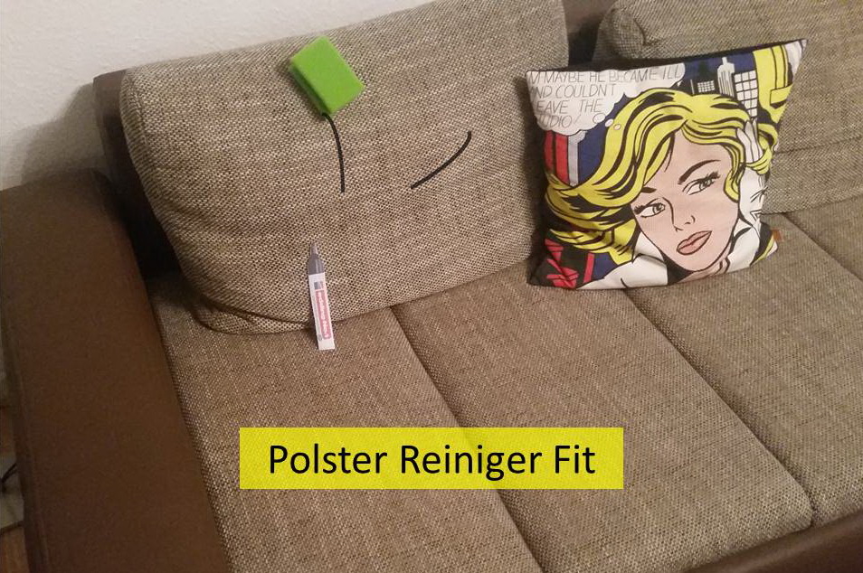 Polster Reiniger Fit